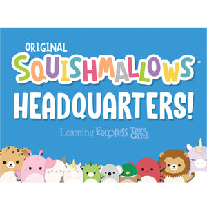 "Squishmallow Headquarters" Signs for Learning Express